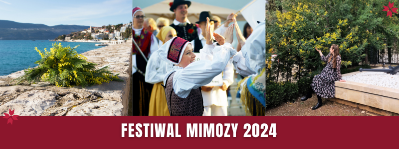 Festiwal Mimozy 2024